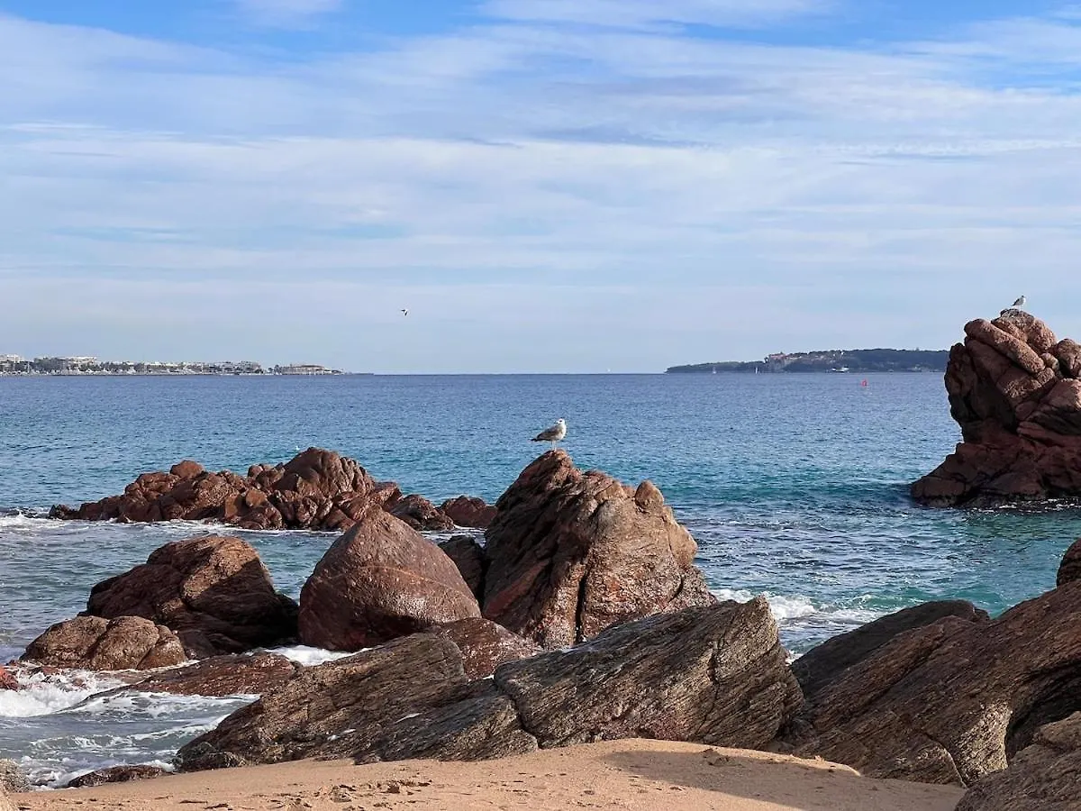 A 2 Minutes De La Plage Vue Mer Et Piscine Cannes