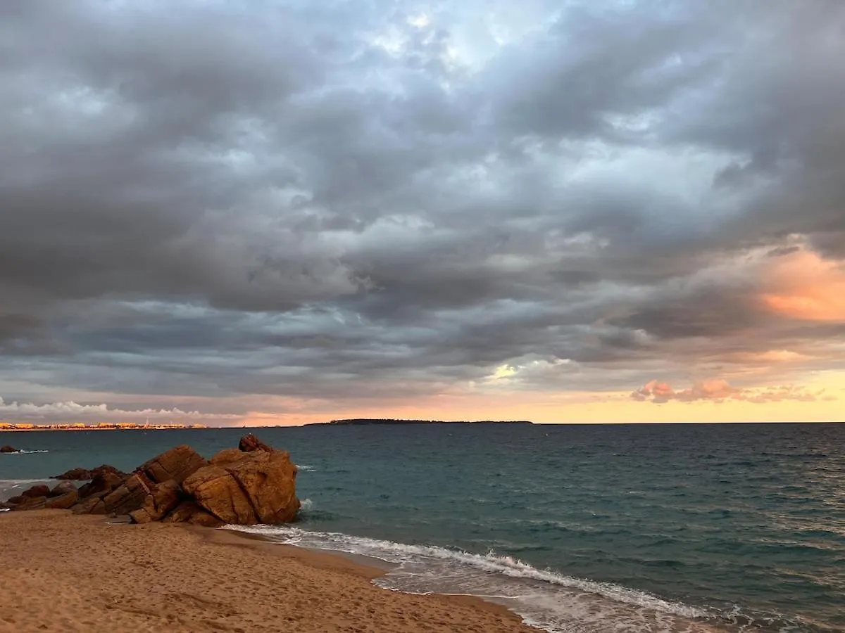 A 2 Minutes De La Plage Vue Mer Et Piscine Cannes Appartement